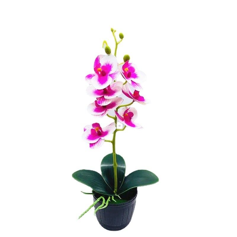 Bonsai artificial cu orchidă Phalaenopsis, 7 flori, decor floral