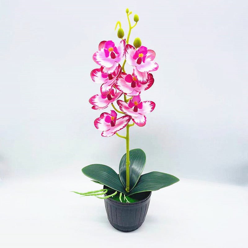 Bonsai artificial cu orchidă Phalaenopsis, 7 flori, decor floral