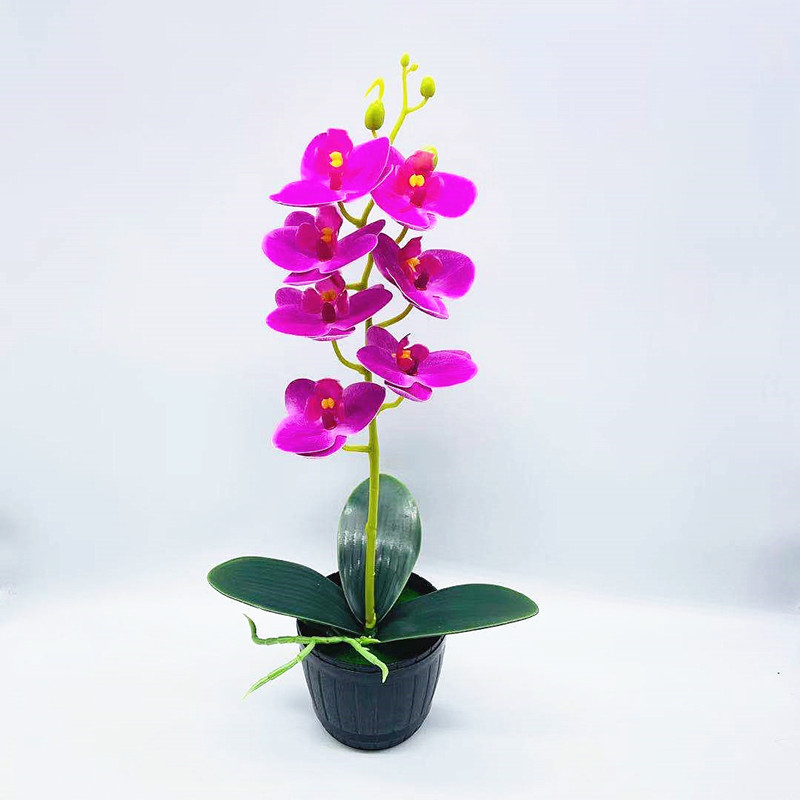 Bonsai artificial cu orchidă Phalaenopsis, 7 flori, decor floral