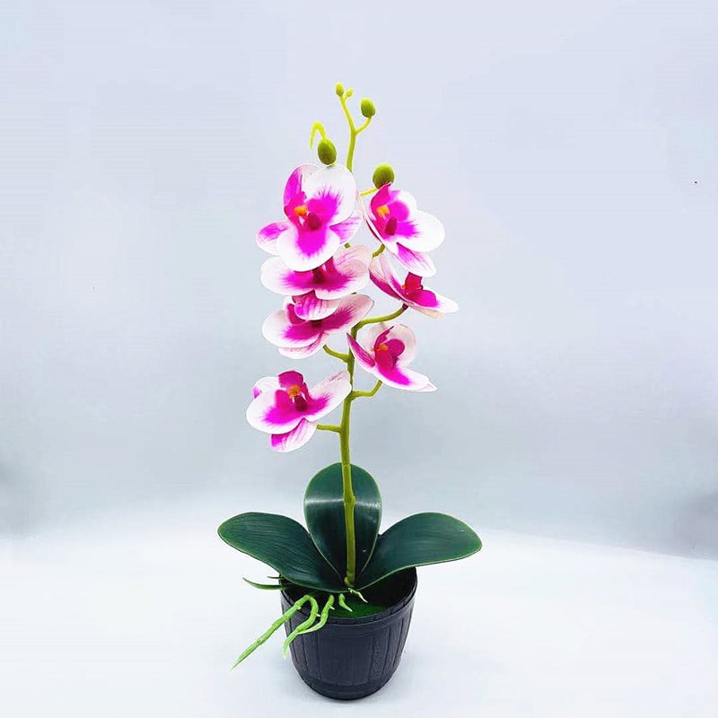 Bonsai artificial cu orchidă Phalaenopsis, 7 flori, decor floral