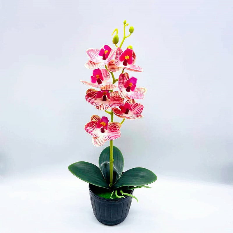 Bonsai artificial cu orchidă Phalaenopsis, 7 flori, decor floral