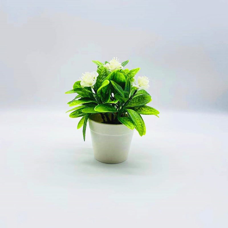 Bonsai artificial cu flori: trandafiri, Phalaenopsis și camelia