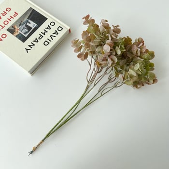 Plantă artificială verde, atârnată, cu eucalipt alb înghețat și buchet de frunze de bani, pentru decor acasă și vitrină
