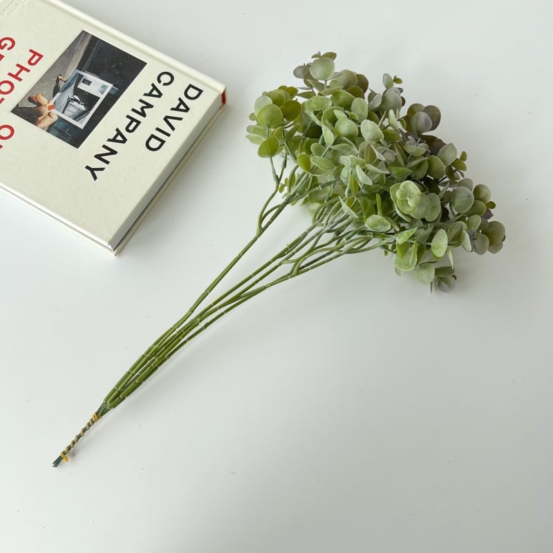Plantă artificială verde, atârnată, cu eucalipt alb înghețat și buchet de frunze de bani, pentru decor acasă și vitrină