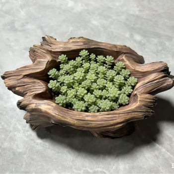 Vas pentru suculente cu mai multe plante, micro-peisaj cu mai multe găuri, imitație de rădăcină din lemn, stil pastoral