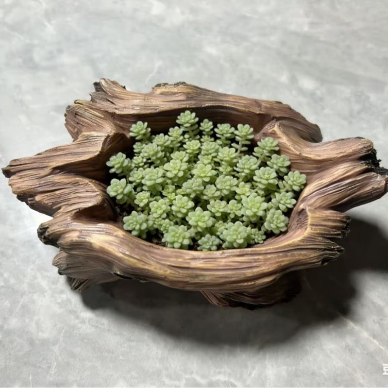 Vas pentru suculente cu mai multe plante, micro-peisaj cu mai multe găuri, imitație de rădăcină din lemn, stil pastoral