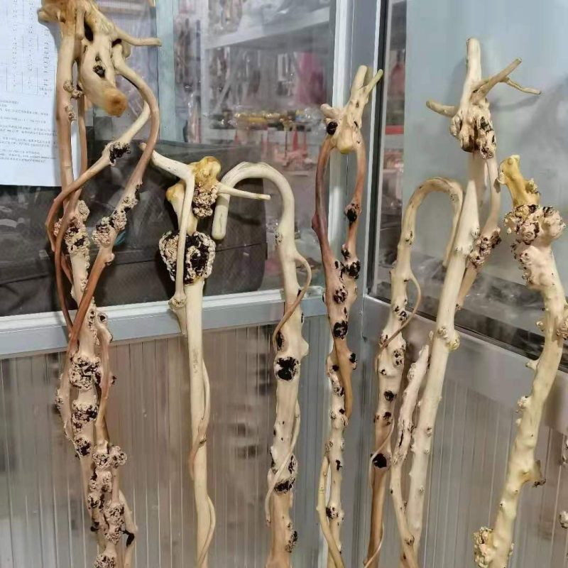 Pipă de tutun din lemn de camellia, baston cu rădăcină sculptată, motiv rodie, stil pastoral