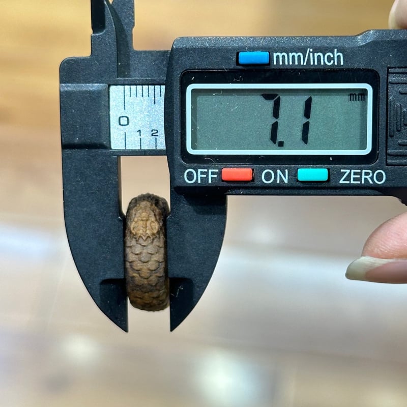 Inel agarwood cu solzi de dragon încrustat cu cinci texte sacre — set bijuterii mărgele budiste DIY, pandantiv, brățară, lanț pentru telefon și accesorii pentru geantă