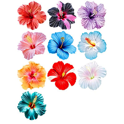 Foi de hârtie de orez lipicioasă, imprimate cu hibiscus colorat, pentru decorarea tortului de ziua de naștere