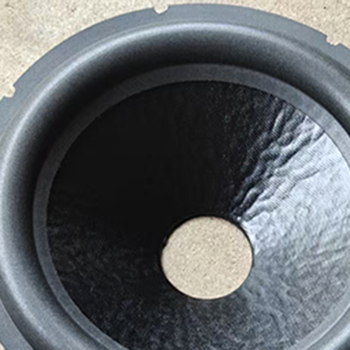 Difuzor PA de 10–12 inch, con din hârtie