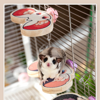 Qiyigong Jucărie pentru șlefuirea unghiilor Sugar Glider, cu stâlp colorat pentru sprijin și platformă de cățărare