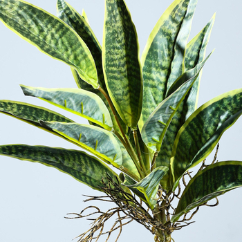 Τεχνημένο μπουκέτο Sansevieria με PVC απαλής υφής, υδροπονική διακόσμηση σαλονιού, διακοσμητικό σε γλάστρα