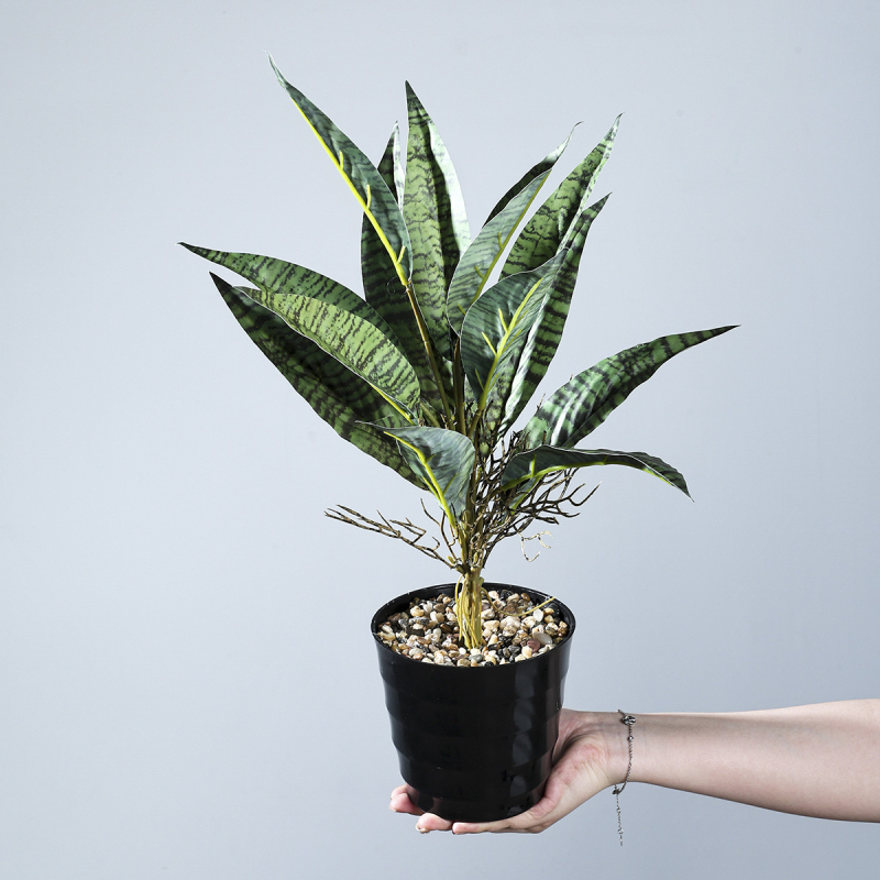 Τεχνημένο μπουκέτο Sansevieria με PVC απαλής υφής, υδροπονική διακόσμηση σαλονιού, διακοσμητικό σε γλάστρα