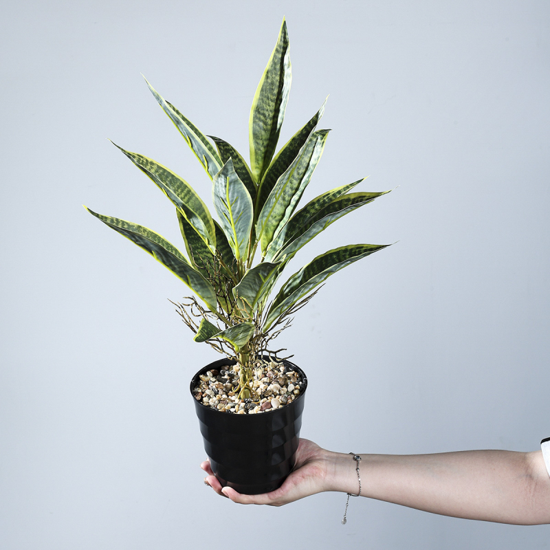 Τεχνημένο μπουκέτο Sansevieria με PVC απαλής υφής, υδροπονική διακόσμηση σαλονιού, διακοσμητικό σε γλάστρα