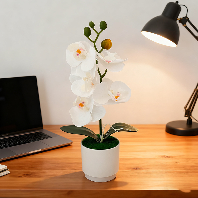 Σκανδιναβικό στυλ: 5 τεχνητές ορχιδέες Phalaenopsis σε γλάστρα, διακόσμηση σπιτιού για σαλόνι και υπνοδωμάτιο, μικρό μπονσάι με πράσινο φυτό