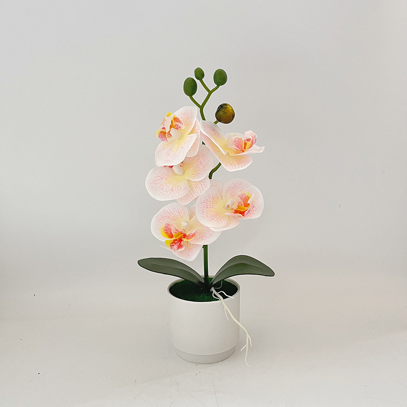 Σκανδιναβικό στυλ: 5 τεχνητές ορχιδέες Phalaenopsis σε γλάστρα, διακόσμηση σπιτιού για σαλόνι και υπνοδωμάτιο, μικρό μπονσάι με πράσινο φυτό