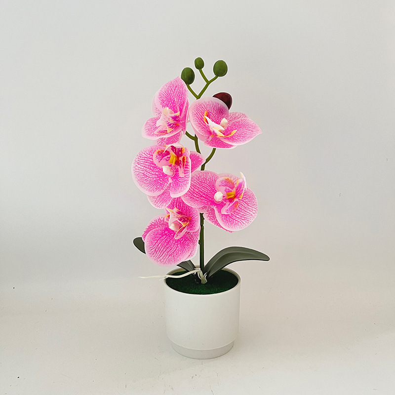 Σκανδιναβικό στυλ: 5 τεχνητές ορχιδέες Phalaenopsis σε γλάστρα, διακόσμηση σπιτιού για σαλόνι και υπνοδωμάτιο, μικρό μπονσάι με πράσινο φυτό