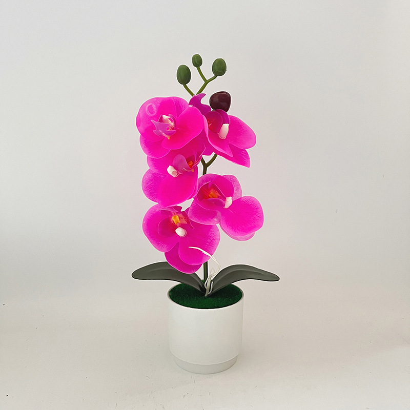 Σκανδιναβικό στυλ: 5 τεχνητές ορχιδέες Phalaenopsis σε γλάστρα, διακόσμηση σπιτιού για σαλόνι και υπνοδωμάτιο, μικρό μπονσάι με πράσινο φυτό