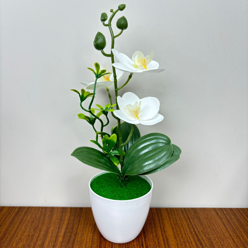 Phalaenopsis τεχνητή ορχιδέα, τρία άνθη και δύο φύλλα, σε μικρό κυκλικό γλαστράκι, διακοσμητικό για είσοδο