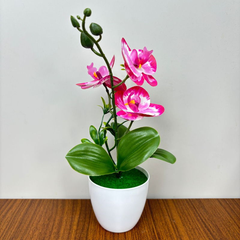 Phalaenopsis τεχνητή ορχιδέα, τρία άνθη και δύο φύλλα, σε μικρό κυκλικό γλαστράκι, διακοσμητικό για είσοδο