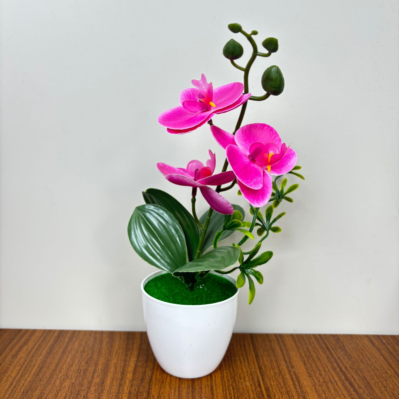 Phalaenopsis τεχνητή ορχιδέα, τρία άνθη και δύο φύλλα, σε μικρό κυκλικό γλαστράκι, διακοσμητικό για είσοδο