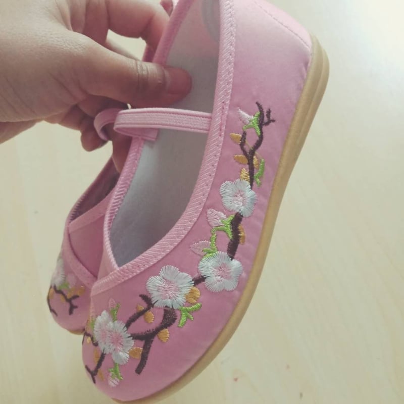Pantofi de dans pentru copii, moi, cu broderie, stil balet, pentru antrenament, estetică etnică.