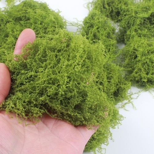 Umjetna mahovina za mikropejzažnu dekoraciju: dekorativna mahovina za travu, bonsai i posude.