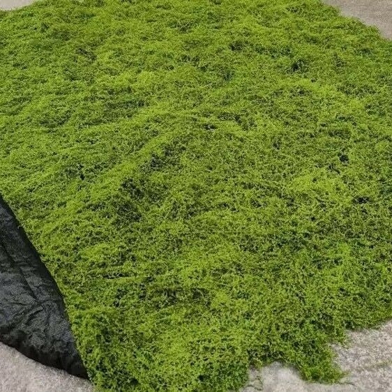 Umjetna mahovina za mikropejzažnu dekoraciju: dekorativna mahovina za travu, bonsai i posude.