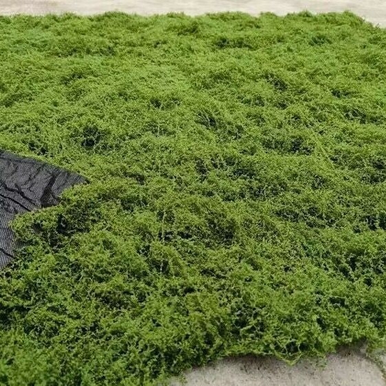 Umjetna mahovina za mikropejzažnu dekoraciju: dekorativna mahovina za travu, bonsai i posude.
