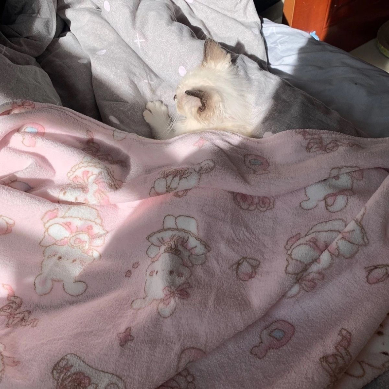 Aranyos Annie Nyuszi Hercegnő – tejvelúr takaró, korall színű kanapéra