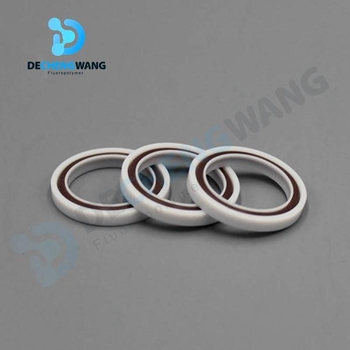 PTFE βαλβίδα μίας κατεύθυνσης, PTFE βαλβίδα δύο κατευθύνσεων, αξεσουάρ βαλβίνας αντλίας, PTFE στεγανοποιητικό δαχτυλίδι