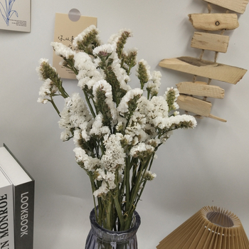 Μπουκέτο αποξηραμένων λουλουδιών Forget-Me-Not, φυσικό στυλ για οικιακή διακόσμηση και αξεσουάρ φωτογράφισης