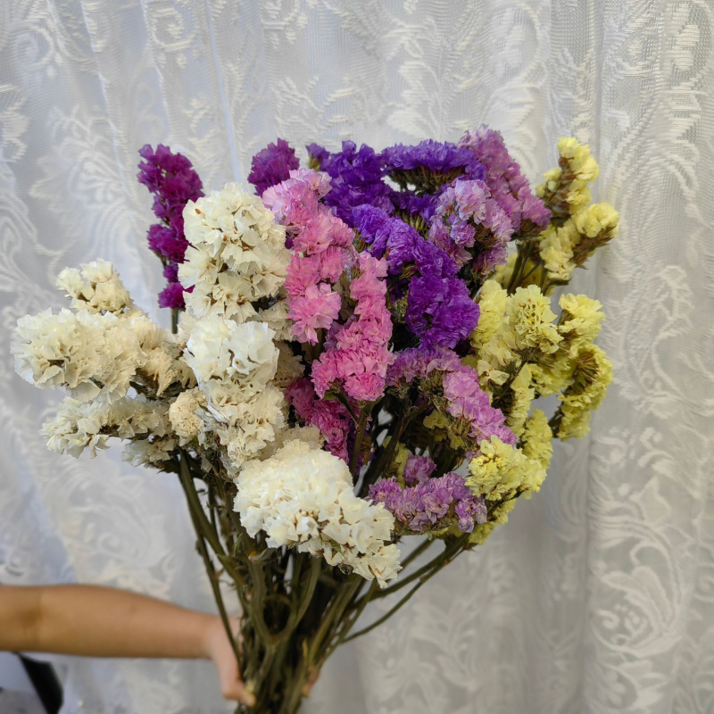 Μπουκέτο αποξηραμένων λουλουδιών Forget-Me-Not, φυσικό στυλ για οικιακή διακόσμηση και αξεσουάρ φωτογράφισης