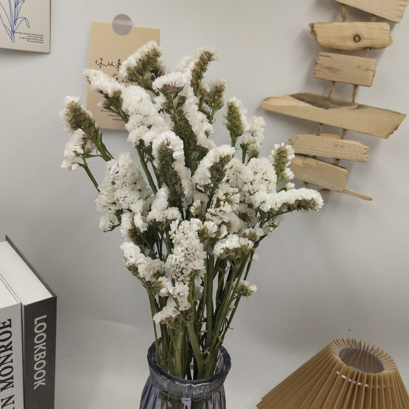 Μπουκέτο αποξηραμένων λουλουδιών Forget-Me-Not, φυσικό στυλ για οικιακή διακόσμηση και αξεσουάρ φωτογράφισης