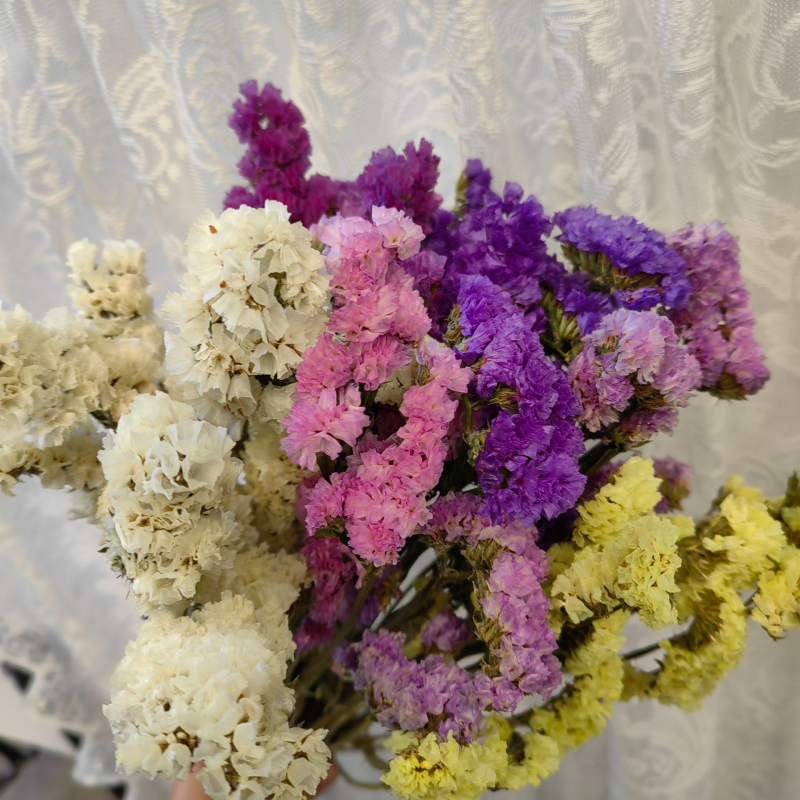 Μπουκέτο αποξηραμένων λουλουδιών Forget-Me-Not, φυσικό στυλ για οικιακή διακόσμηση και αξεσουάρ φωτογράφισης