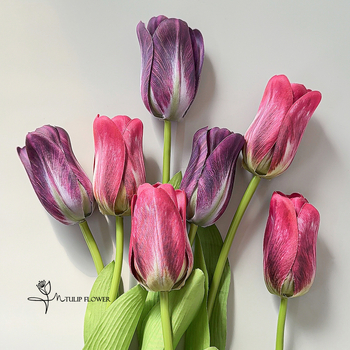 Nordic-stílusú 3D nyomtatott tulipán művirágok esküvői fotózáshoz, csokrokhoz és otthoni étkező dekorációhoz