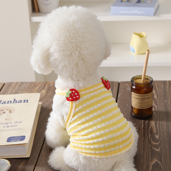 Könnyű nyári mellény kis kutyáknak – Toy Poodle, Bichon Frisé, Miniatűr Schnauzer