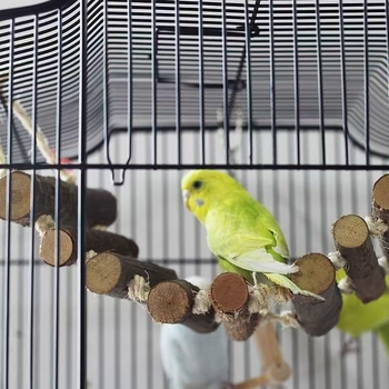 Set pentru papagali mici și medii: gardă despărțitoare pentru cușcă, jucărie de ascuțit ghearele, punte suspendată din lemn, cușcă pentru hamster, scară de cățărare, unelte pentru mușcat și șlefuire dinților