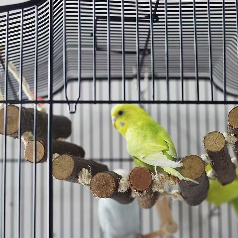 Set pentru papagali mici și medii: gardă despărțitoare pentru cușcă, jucărie de ascuțit ghearele, punte suspendată din lemn, cușcă pentru hamster, scară de cățărare, unelte pentru mușcat și șlefuire dinților