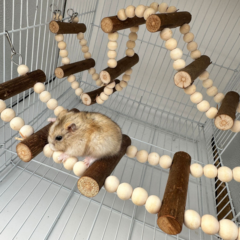 Jucărie de mestecat pentru papagal și păsări, leagăn din lemn de salcie cu scară pentru hamster, jucărie decorativă pentru cușca păsărilor