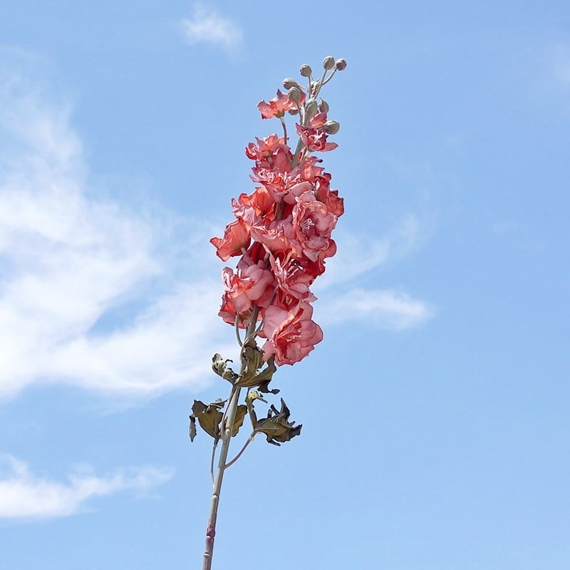 Τεχνητά λουλούδια Delphinium για διακόσμηση σπιτιού, γάμους και φωτογραφικά σκηνικά