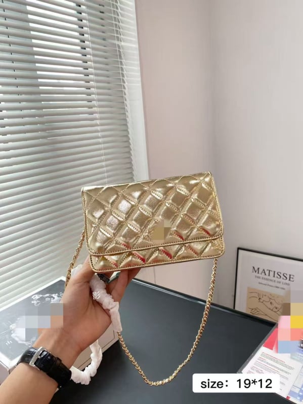 Geantă chic cu lanț, crossbody din PVC, cu sloturi pentru carduri, buzunar cu fermoar și buzunar pentru monede — compactă și practică.