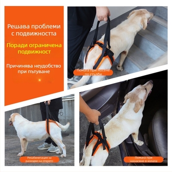 Популярен спомагателен колан за кучета за възрастни хора с увреждания, колан за разходка на кучета с регулируемо въже за сцепление с домашни любимци