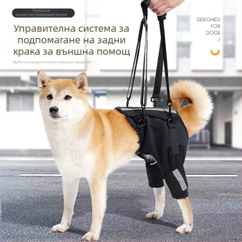 Помощен колан за кучета Новата дишаща защита тип „рибена кост“ на Amazon, гръбначен стълб, обучение на кучета на горния етаж, защитно оборудване за домашни любимци