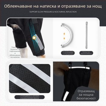 Помощен колан за кучета Новата дишаща защита тип „рибена кост“ на Amazon, гръбначен стълб, обучение на кучета на горния етаж, защитно оборудване за домашни любимци