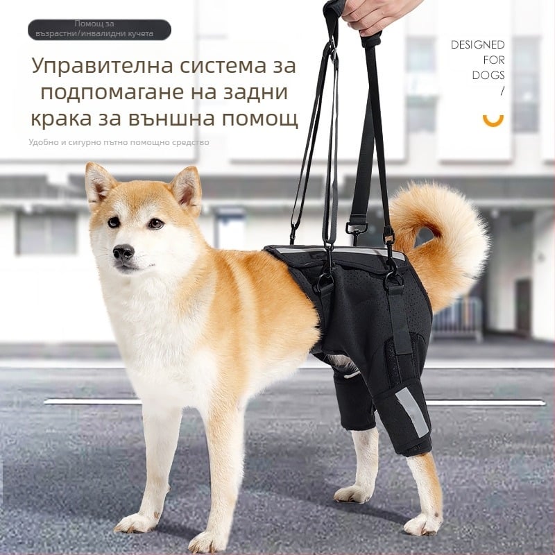 Помощен колан за кучета Новата дишаща защита тип „рибена кост“ на Amazon, гръбначен стълб, обучение на кучета на горния етаж, защитно оборудване за домашни любимци