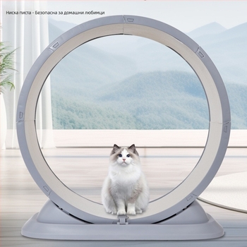 Трансгранична бягаща пътека за котки, фитнес ролери за домашни любимци, антиприщипващо спортно бягащо колело, стойка за катерене за котки, играчки за котки, домашни любимци