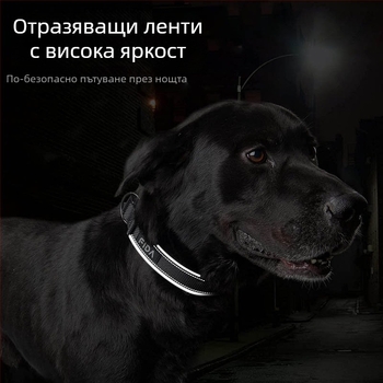 Найлонов отразяващ нашийник за домашни любимци, въже за нашийник за кучета, Feida, Amazon популярен нашийник за кучета на едро
