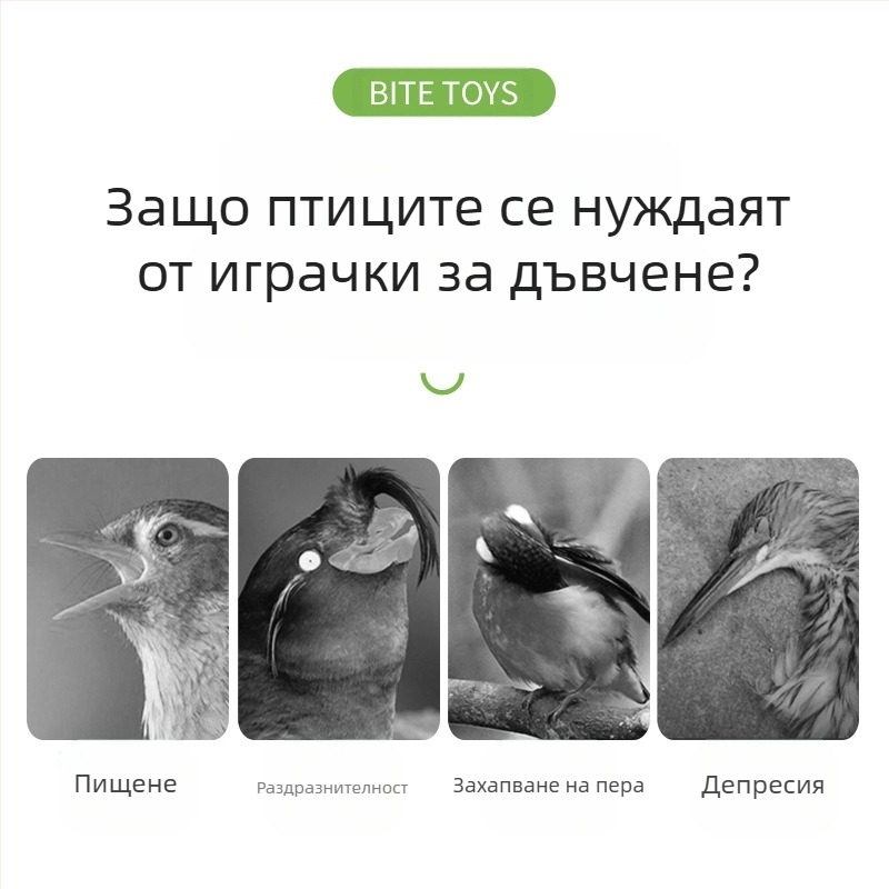Играчка за папагали, тигрова кожа, божур, сюанфенг, клетка за дъвчене и катерене за птици, стълба, платформа, люлка, принадлежности за домашни любимци