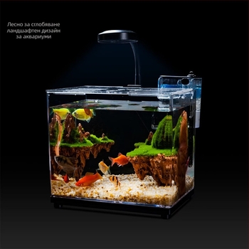 Нов софтуер за симулация на коралов аквариум, аквариум за рибки, озеленяване, декорация, опазване на околната среда, силиконови корали, доставка, трансгранична електронна търговия, производители